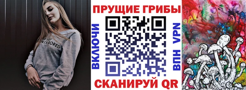 Купить где  Вуктыл  Галлюциногенные грибы прущие грибы 